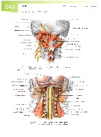 Sobotta  Atlas of Human Anatomy  Trunk, Viscera,Lower Limb Volume2 2006, page 47